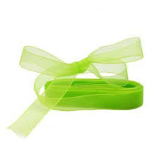 Cinta Organza Verde Pistacho Cintas Para Hacer Lazos Cinta De Organza Cintas Lazos