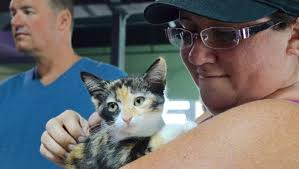 Photos: Orlando Cat Café Open House