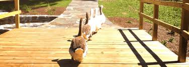 Obituary for John T Conniff