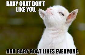 25 Of The Funniest Goat Memes So Far Let S Eat Cake