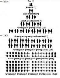 Number Of Ancestors Over The Generations Familytree Com In 2020 Ancestor Generation Great Grandparents