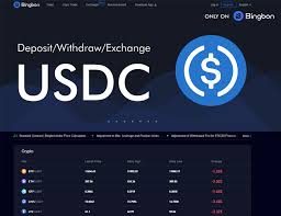 Crypto leverage is a risky thing to do. Bingbon Review Cryptocurrency Derivatives Trading Platform