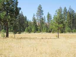 Rare Hat Creek Frontage California Outdoor Properties