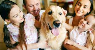 City pets vet is located in portland city of oregon state. Pets In Germany