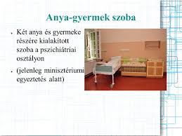 Pszichiátria semmelweis egyetem budai telephelyek; Korhazi Szocialis Munkas Egyuttmukodese A Szocialis Ellato Rendszerrel Keszitette Atkari Gizella Szocialis Munkas Ppt Letolteni