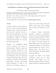 Image result for Platostoma africanum