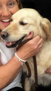 Our hearts are broken RIP Wilma. She gave us 11 beautiful years.