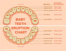 family dentistry woodruff pro grin dental baby teeth