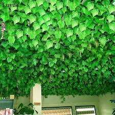 Check spelling or type a new query. 2021 Simulation Flower Vine Fake Rattan Leaves Wall Ceiling Decoration Artificial Flowers Artificial Plants Leaves From D185648451 0 71 Dhgate Com Artificial Plants Fake House Plants Hanging Plants
