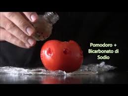 Quattro esperimenti scientifici da fare in casa con i bambini la scienza diverte e rilassa i bambini stimolando la loro intelligenza e creatività. 5 Esperimenti Scientifici Da Fare A Casa Youtube
