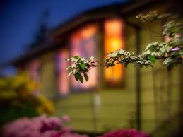 Image result for rayxar