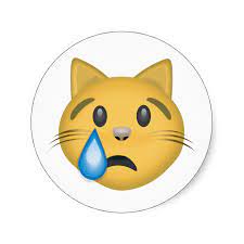 Pin On Crying Cat Face Emoji