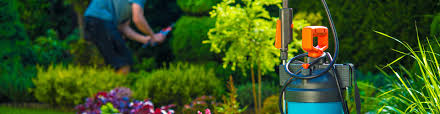 Lawn Services