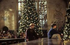 A VERY POTTER CHRISTMAS at The Bavarian [TUGGERAH]