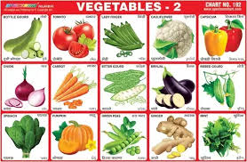 what are the names of vegetables in sanskrit and hindi quora