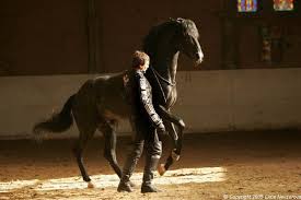 Личность, без сомнения, выдающаяся и неординарная. Aleksand Nevzorov Obsuzhdenie Na Liveinternet Rossijskij Servis Onlajn Dnevnikov