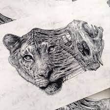Check spelling or type a new query. How To Draw Half Lion Half Tiger Face Peepsburgh