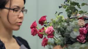 185 Pink heather Séquences et clips vidéo HD