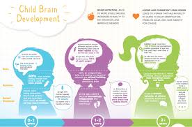 Infographic Child Brain Development Whole Brain Child