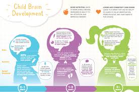 infographic child brain development whole brain child