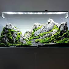 Polubienia 3 673 Komentarze 30 Aquaman Nature Studio Aquaman Nature Studio Pl Na Instagramie Mountain In 2020 Aquarium Landscape Aquascape Aquarium Aquascape