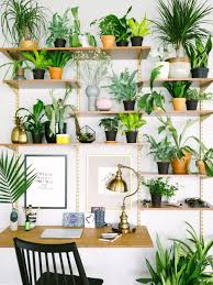 Why Plants People Make The Best Partners Lauren Kelp Thoughtful Living Indoor Garden Apartment Room With Plants Decor