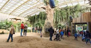 Die bezeichnung „zoologischer garten fand erstmals 1828 beim londoner zoo verwendung. Zoo Heidelberg Startseite