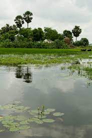 Learn how to pronounce bella in english by listening free audio recording. File Belai Beel 2 Jpg Wikipedia