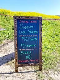 It is definitely below the average level by local standards. The Wild Mustard Fields In Half Moon Bay Everything You Need To Know