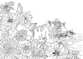 We have more than 700 free printable coloring pages with new pages added weekly. Nature Coloring Pages For Kids Free Printables