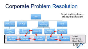 Organizational Design For Effective Software Development