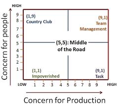 What Is Blake And Mouton S Managerial Grid Definition And Meaning Business Jargons