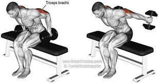 Pin On Triceps