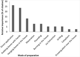 Image result for Tetradenia urticifolia