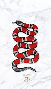Iphone 7 White Gucci Wallpaper Wallpaper, gucci, white, logo, text, communication, copy space. iphone 7 white gucci wallpaper