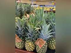 We did not find results for: 700 In Dillon S Gift Cards Gavel Roads Online Auctions