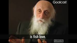 Fish love, Rabbi Dr Abraham Twerski