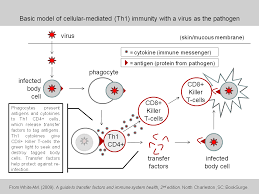 Enjoy a brief overview on the importance of your immune system and why 4life transfer factor is the best choice to strengthen, educate, and support it. Transfer Factor Wikipedia