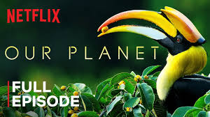This is the official website for the gene editing and crispr documentary film, human nature. Our Planet Forests Full Episode Netflix Youtube