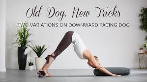 Old Dog New Tricks Two Variations On Downward Facing Dog Downward Facing Dog How To Do Yoga Yoga Poses For Men