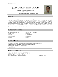 Añade tus detalles e inmediatamente descarga tu cv en pdf. Cv Juan Carlos Pdf Mineria Peru