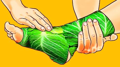 Repollo para Desinflamar las Articulaciones | Clinica Holistica