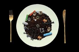 Image result for Pica