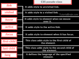 Best Image Of Css Pseudo Class Css Tutorial Css Cheat Sheet Css