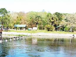 Ocklawaha River Paddling In North Florida Canoe Kayak