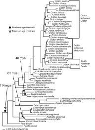 Image result for Argomuellera