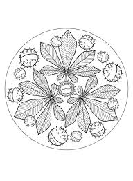 Disegni Mandala Da Colorare Favole E Fantasia