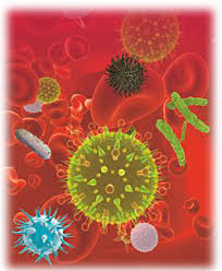 Image result for Bloodborne Pathogen Exposure