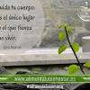 Por más de 40 años, jim rohn pasó perfeccionando su arte como un experto en autoayuda al mundo. Https Encrypted Tbn0 Gstatic Com Images Q Tbn And9gcrg0 Kpe10pbbilu4tudbvsgio6tbogvldxj0fsw4eurqsglaul Usqp Cau