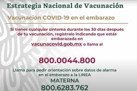 Vacuna contra la covid y embarazo: Kkb5aj2npn9xmm